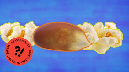 GEOLINO TV - Kurze Clips 7: Popcorn ist 6.000 Jahre alt