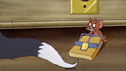 Tom und Jerry Tom und ich im Training