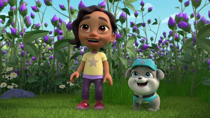 Rubble & Crew Die Crew baut einen Blumenwiesen-Steg