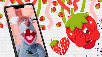 Woozle Shorts Erbeerentstrunker