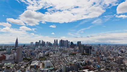 Woozle Goozle Himmel & Tierwanderungen