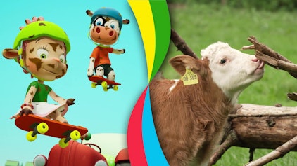 Toggolino - Die Show mit Muhpidu! Toggolino und die Kälbchen