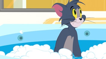Die Tom und Jerry Show Flug mit Hindernissen / Haustiere nicht erwünscht