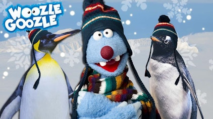 Woozle Goozle Arktis und Antarktis