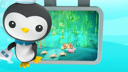 Das Okto-Lied Der Kelpwald