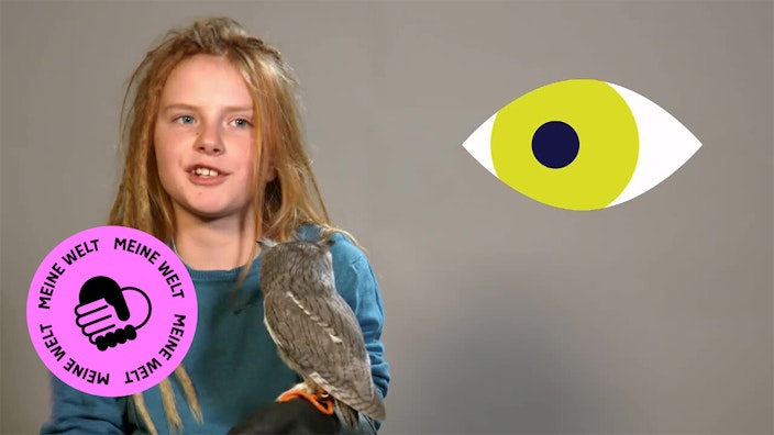 GEOLINO TV - Kurze Clips 6: Owen auf dem Eulenhof