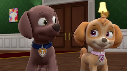 PAW Patrol - Helfer auf vier Pfoten Die verschwundenen Gemälde