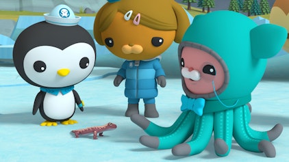 Die Oktonauten auf dem Festland Der sibirische Salamander