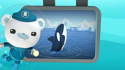 Das Okto-Lied Die Orcas in der Arktis