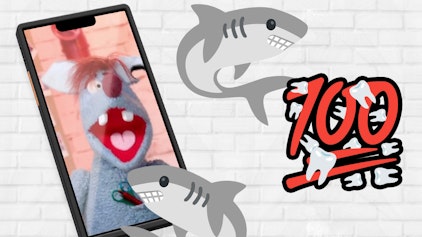 Woozle Shorts Wie viele Zähne hat ein Hai?