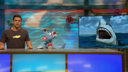 Woozle Goozle Wüste & Haie