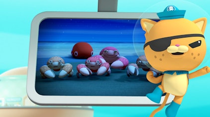 Das Okto-Lied Die Palmendiebe