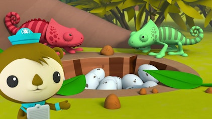 Die Oktonauten auf dem Festland Die geheimnisvolle Insel