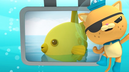 Das Okto-Lied Mondfisch