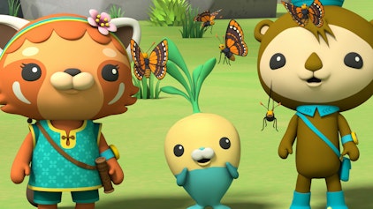 Die Oktonauten auf dem Festland Der Raupenumzug