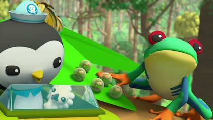 Die Oktonauten auf dem Festland Die Rettung des Regenwalds