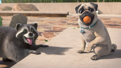 Mighty Mops Hund oder Waschbär?