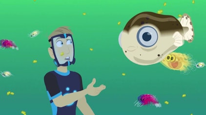 Go Wild! - Mission Wildnis Kugelfische in der Karibik