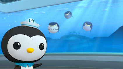 Die Oktonauten Die Oktonauten und die Grönlandwale