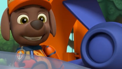 PAW Patrol - Kurze Clips Verwechslungsgefahr