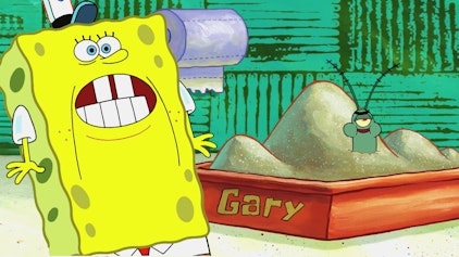 SpongeBob Schwammkopf Hausdurchsuchung