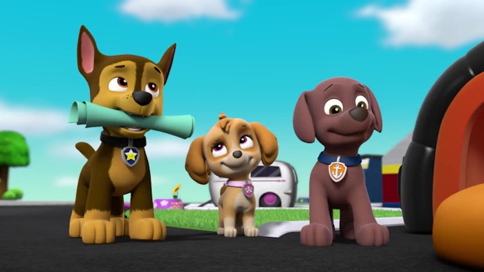 PAW Patrol - Helfer auf vier Pfoten Übernachtung mit Hindernissen