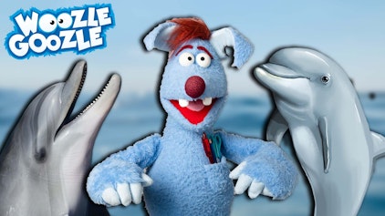 Woozle Goozle Hören & Delfine