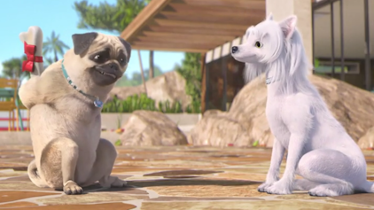 Mighty Mops Wohlerzogen