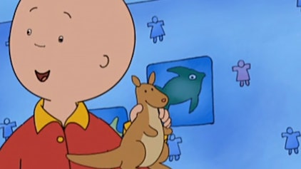 Caillou Ein ganz besonderes Geschenk