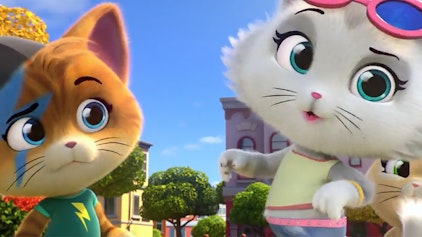 44 Cats Welpe in Not