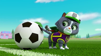 PAW Patrol - Helfer auf vier Pfoten Das Fußballspiel