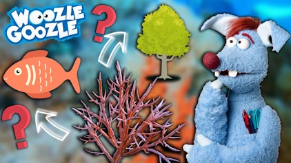 Woozle Goozle Flüsse & Korallen