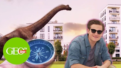GEOLINO TV Folge 19