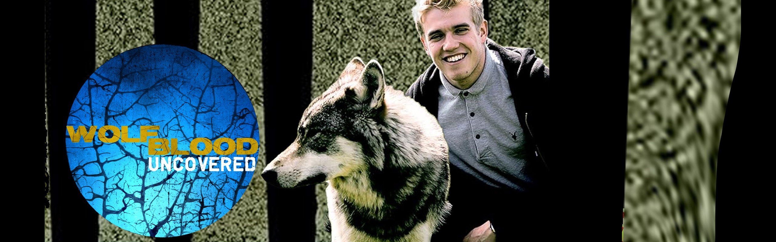 Wolfblood Entschlüsselt