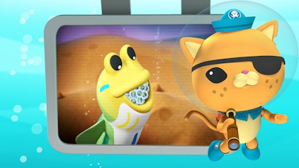 Das Okto-Lied Der Kieferfisch