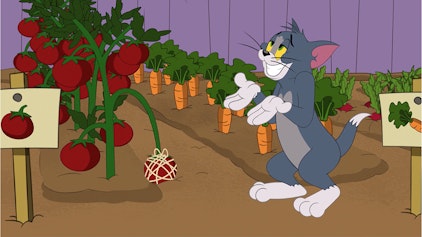 Die Tom und Jerry Show Tom, der Gartenwächter