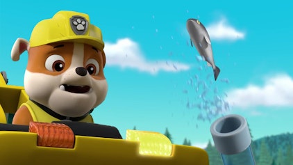 PAW Patrol - Kurze Clips Die Lachs-Rettung