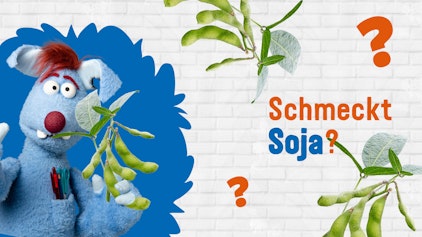 Frag Woozle! - Die Antworten Schmeckt Soja?