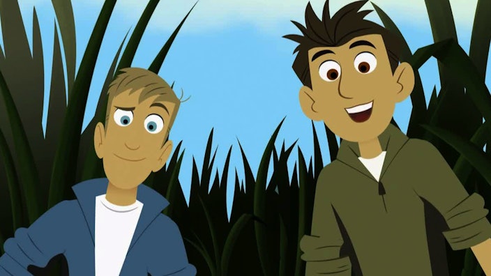 Go Wild! - Mission Wildnis Das Geheimnis der Regenwürmer