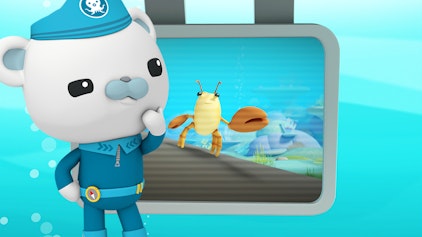 Das Okto-Lied Der Pistolenkrebs