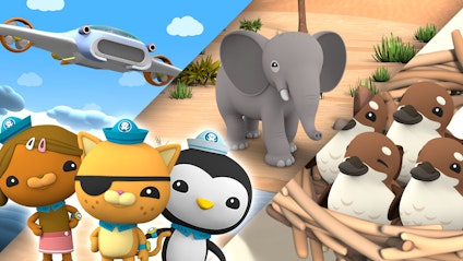 Die Oktonauten Missionen auf dem Festland