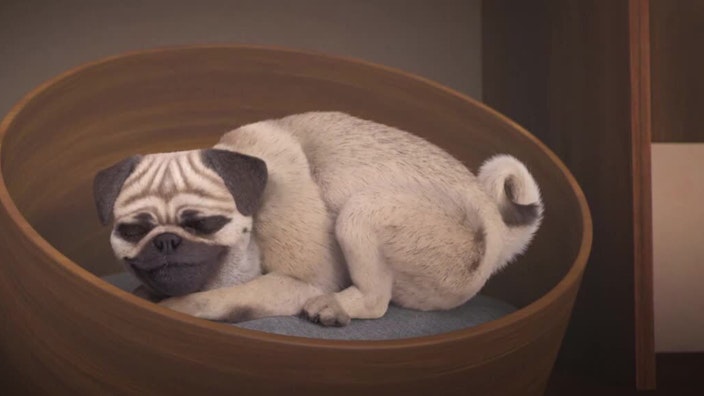 Mighty Mops Das Nickerchen