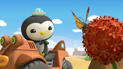 Die Oktonauten auf dem Festland Die Monarchfalter