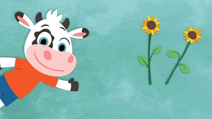 Das ist gerade, das ist schief