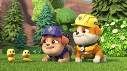 Rubble & Crew - Kurze Clips Entenwanderung