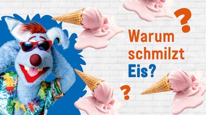Frag Woozle! - Die Antworten Warum schmilzt Eis?