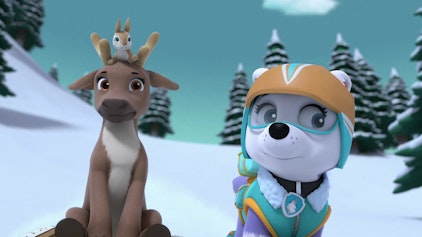 PAW Patrol - Helfer auf vier Pfoten Das verirrte Karibu-Baby