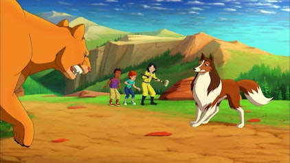 Lassie Der Berglöwe