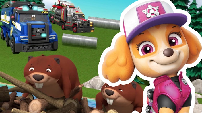 PAW Patrol - Helfer auf vier Pfoten Rohre auf Abwegen