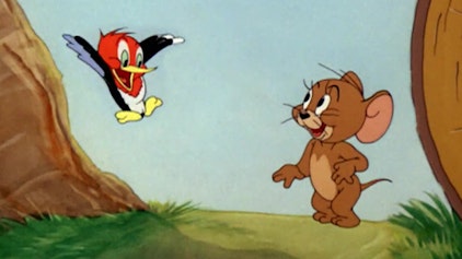 Tom und Jerry Der kleine Specht